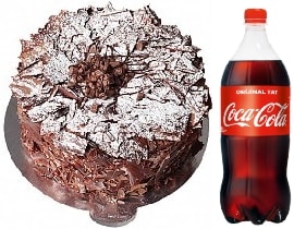 4-6 Kişilik Parça Çikolatalı Pasta Avantajlı Tunceli pasta