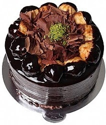4 ile 6 kişilik Profiterollü Yaş pasta Tunceli pasta