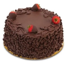 4 ile 6 kişilik Sade klasik çikolatalı yaş pasta Tunceli pasta