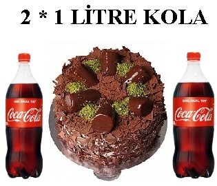 Muzlu Çikolatalı Pasta ve Çift Cola Avantaj Paketi Tunceli pasta